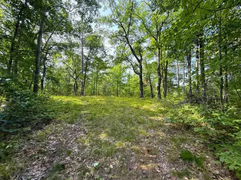 Hunting Land with Trail System