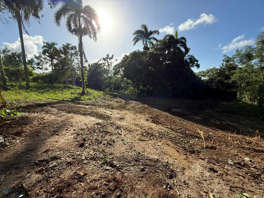 Picture 2