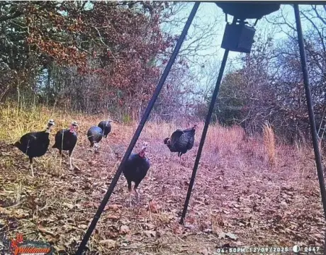 Secluded Hunting and Recreational Land