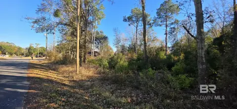 Vacant Building Lot in Foley