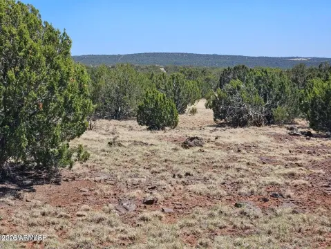 30.59 Acres in Concho, AZ