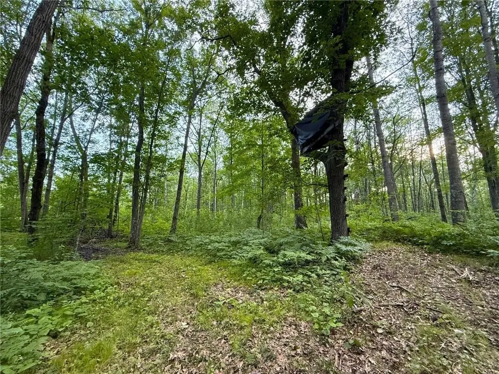 Picture 51