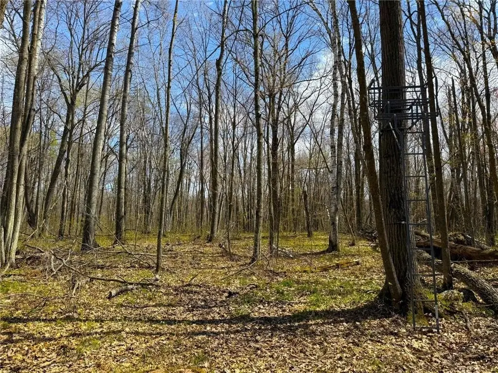 Picture 17
