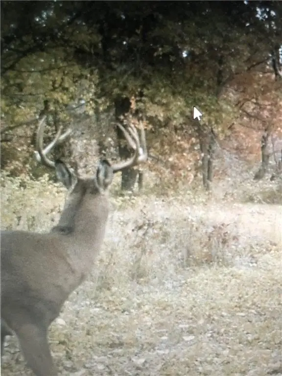 Picture 37