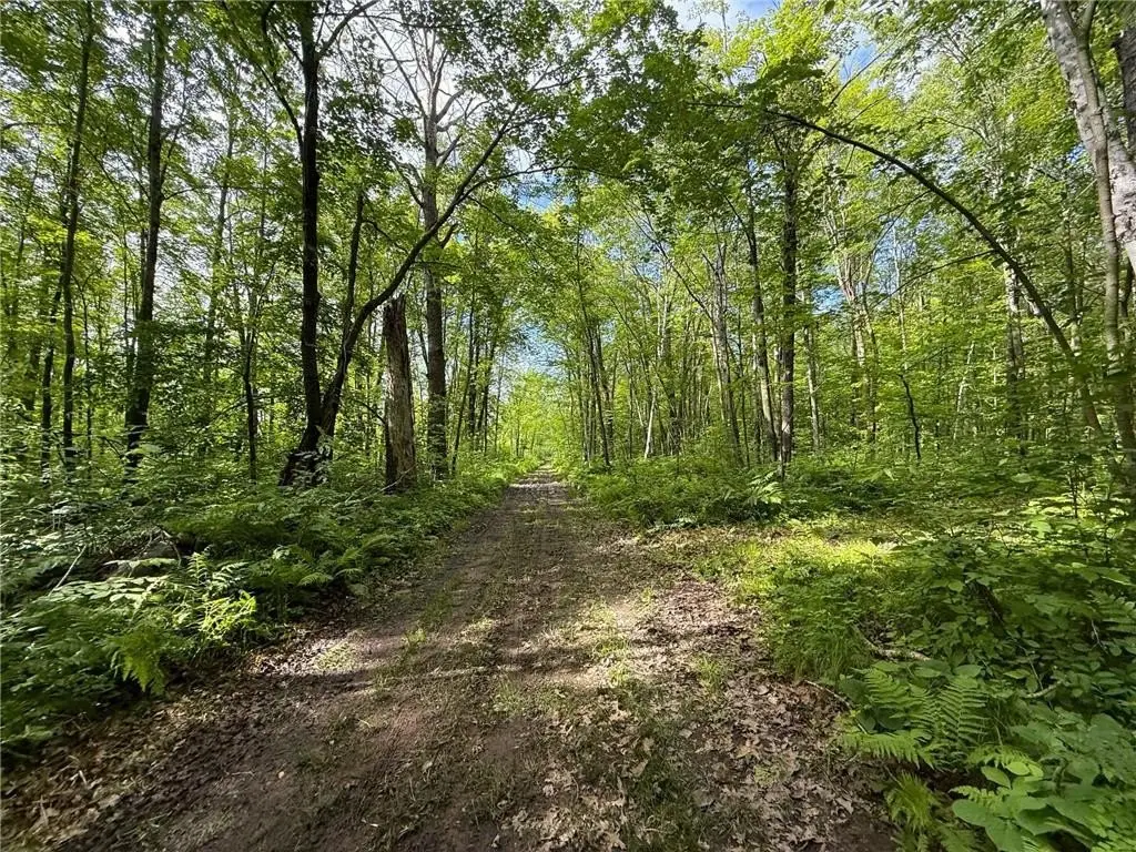 Picture 20