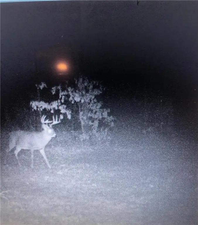 Picture 42