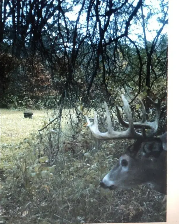 Picture 38