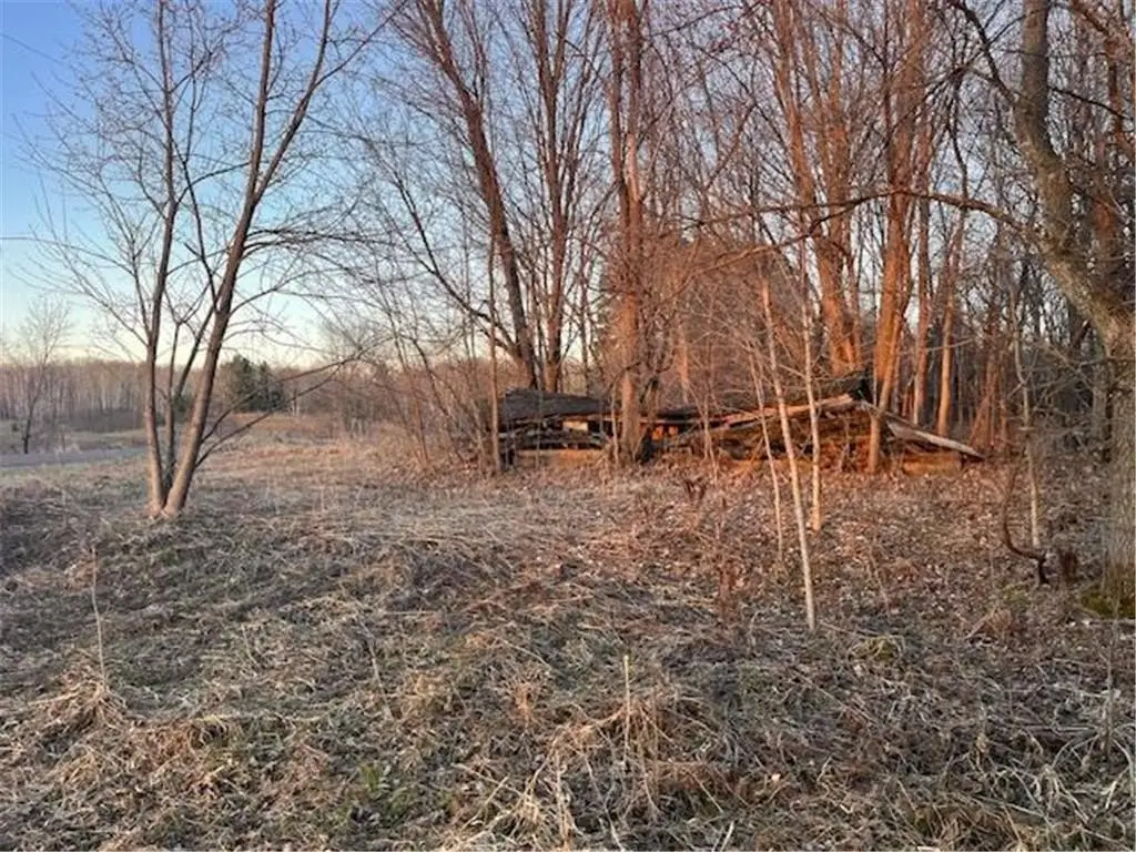 Picture 5