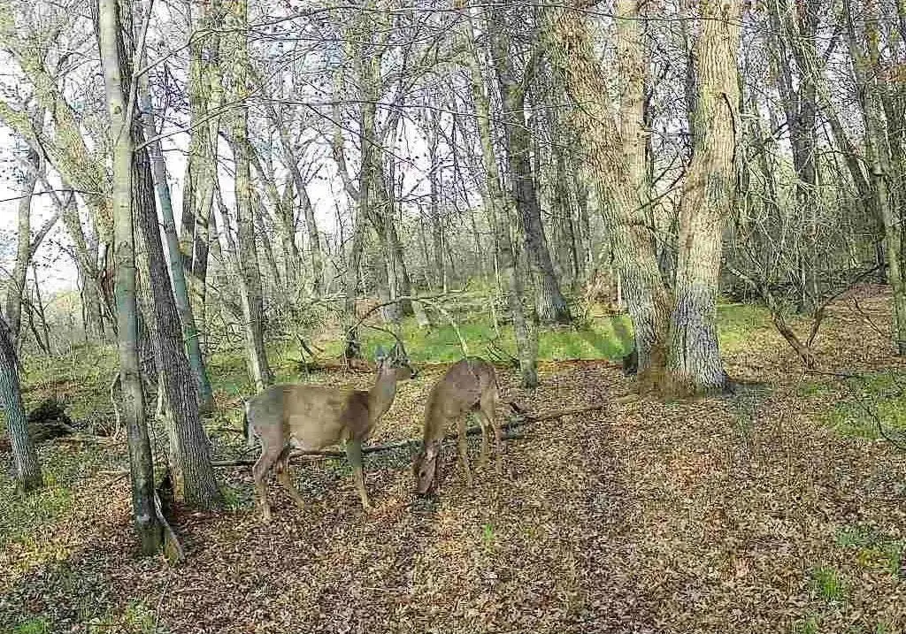 Picture 16
