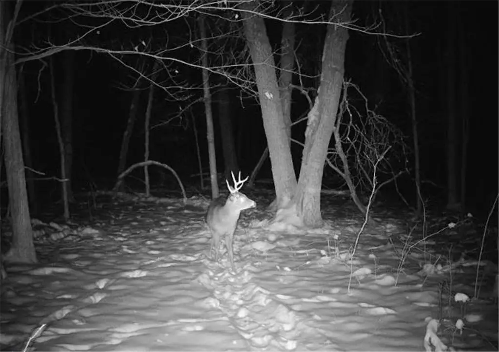 Picture 14
