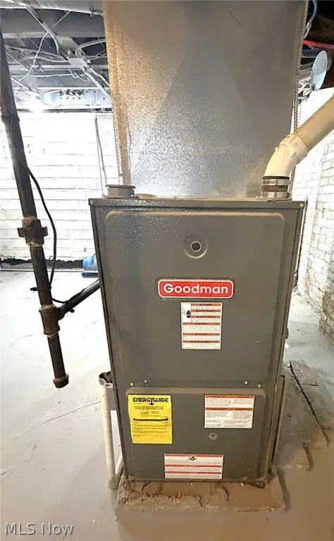 Picture 19