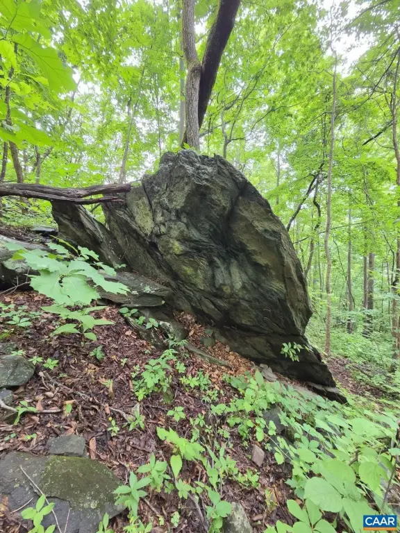 Picture 31