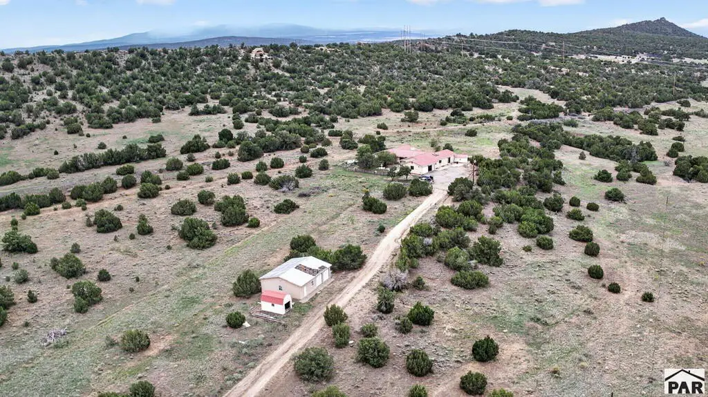 Picture 23