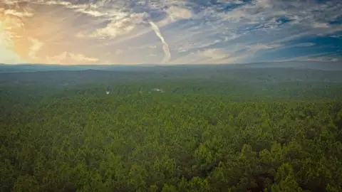 2.66 Acres in Lost Creek