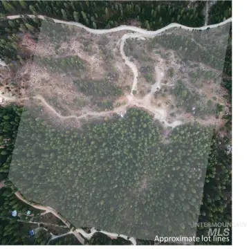 Exceptional Mountain Estate Land Opportunity