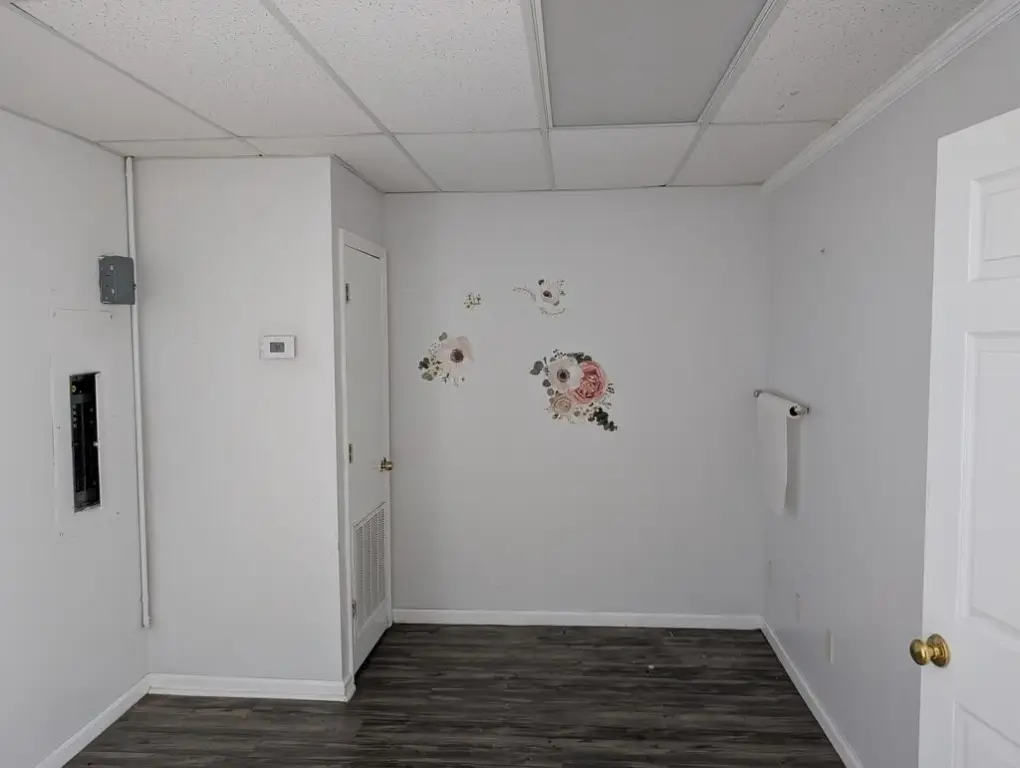 Picture 5
