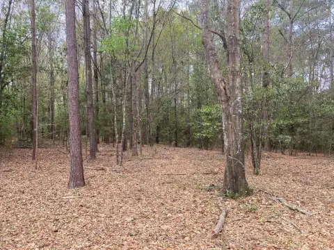 Gorgeous Wooded Land in Nashville