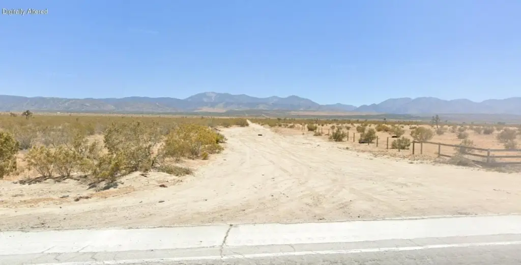 Picture 4