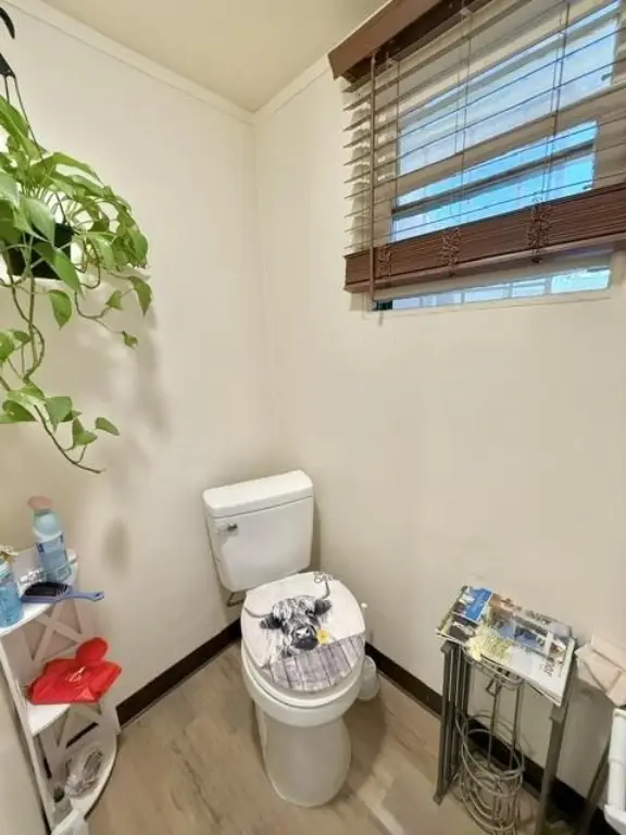 Picture 20