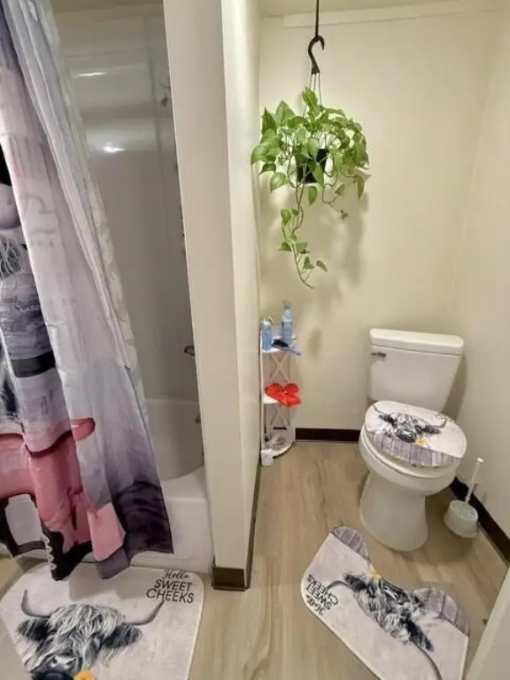 Picture 18