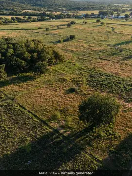 Agricultural Land with Oak Trees