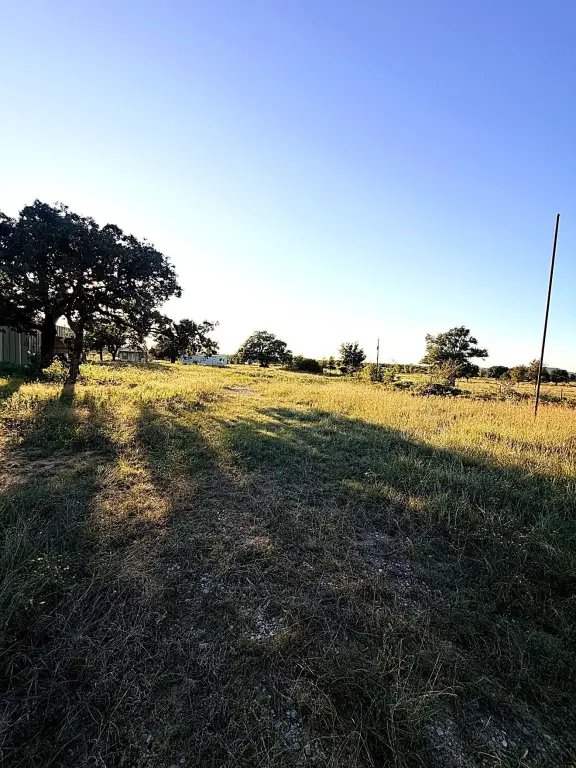 Picture 24