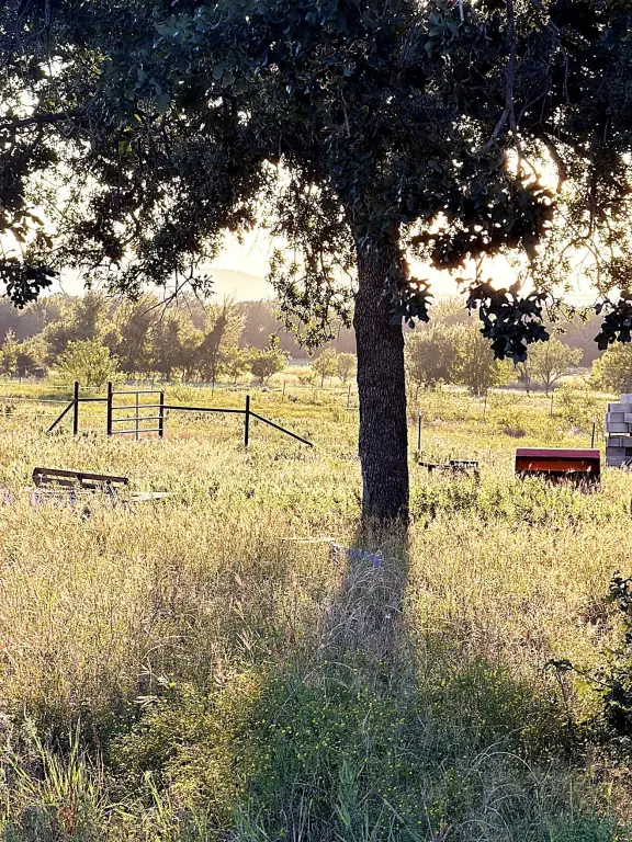 Picture 29