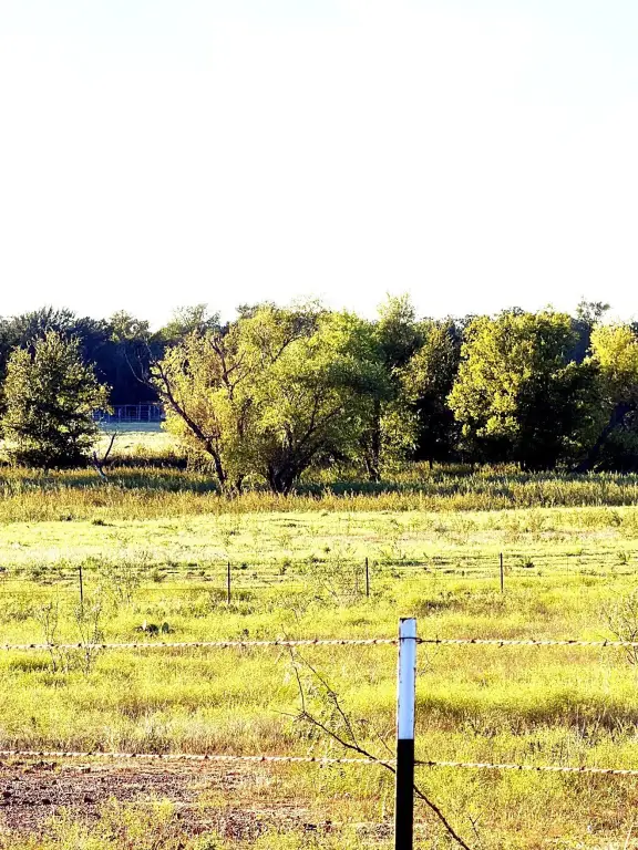 Picture 5