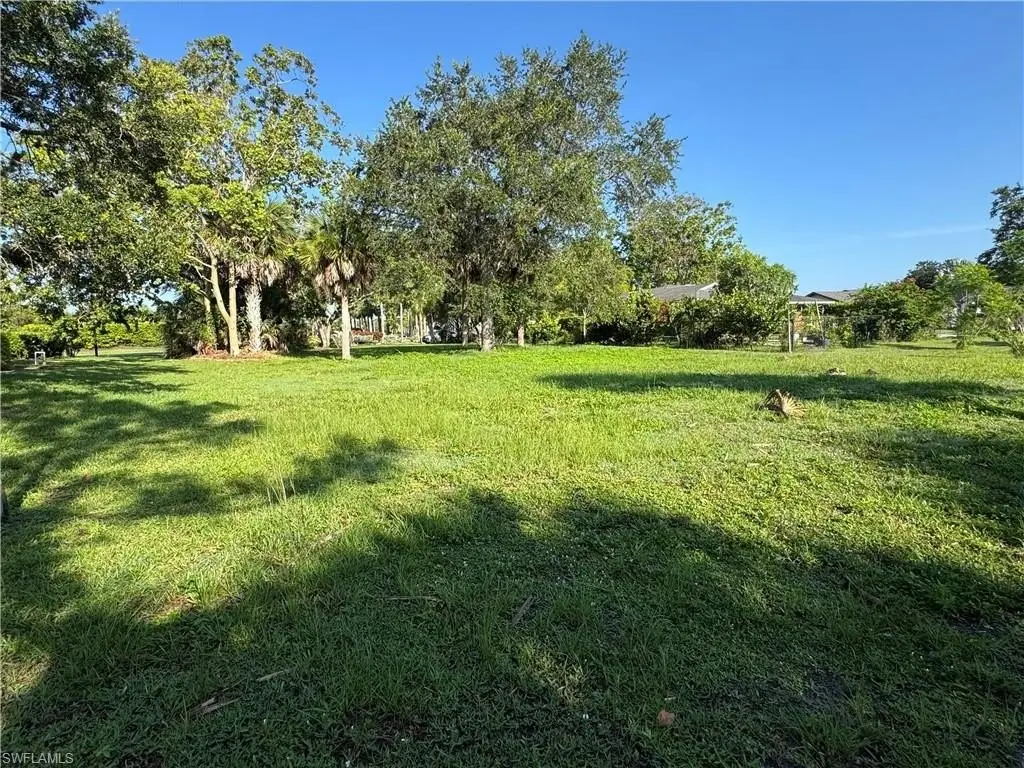 Picture 6