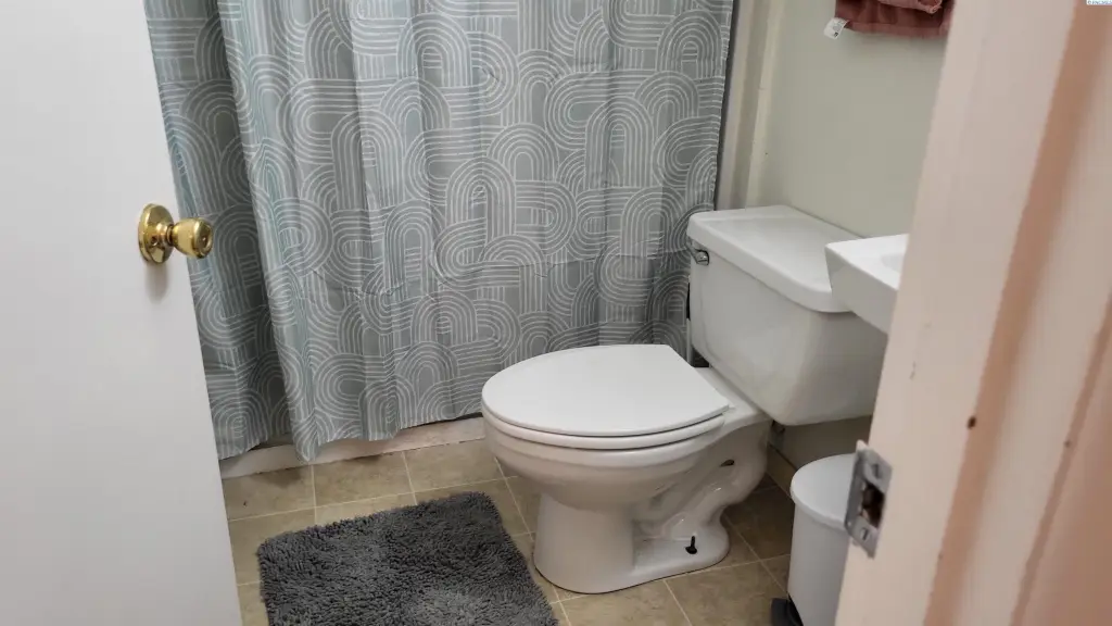 Picture 24