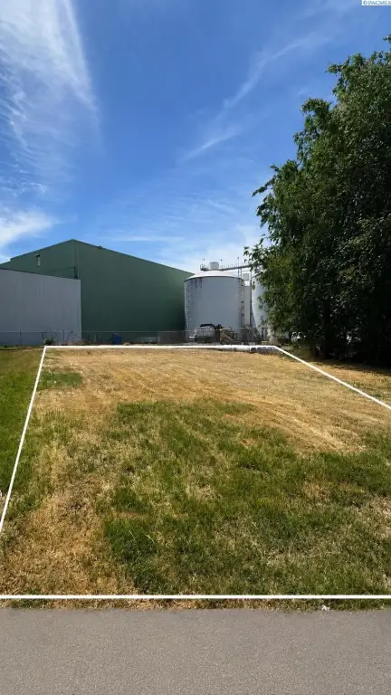 Picture 3