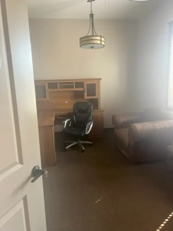 Picture 5