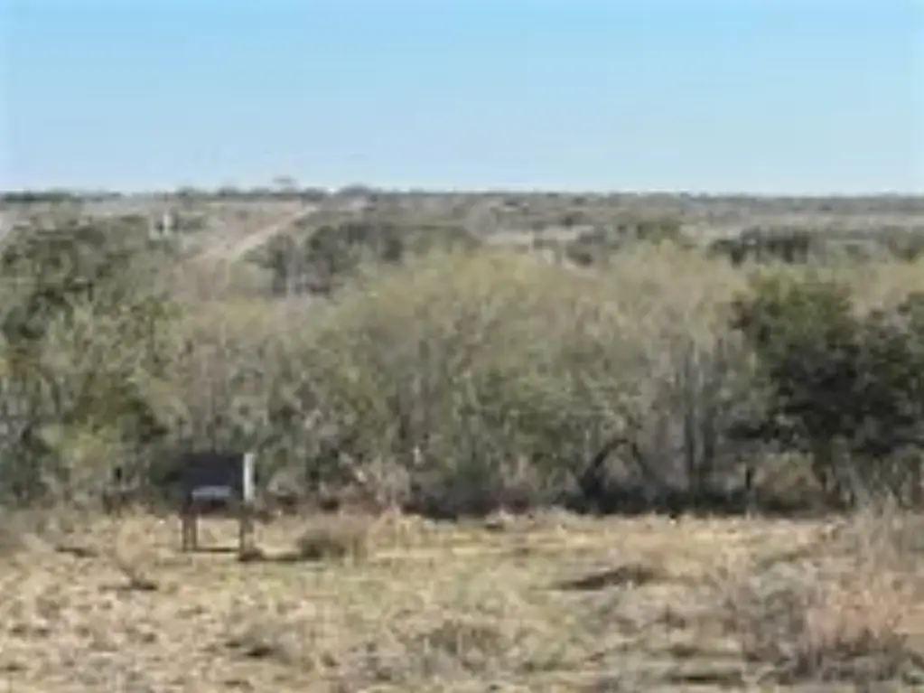 Picture 8