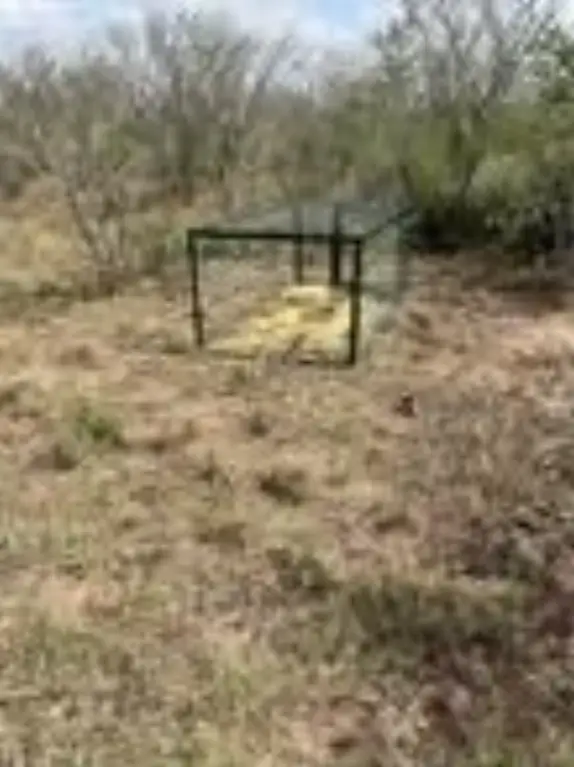 Picture 2