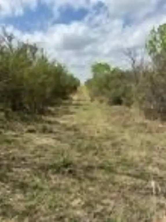 Picture 7