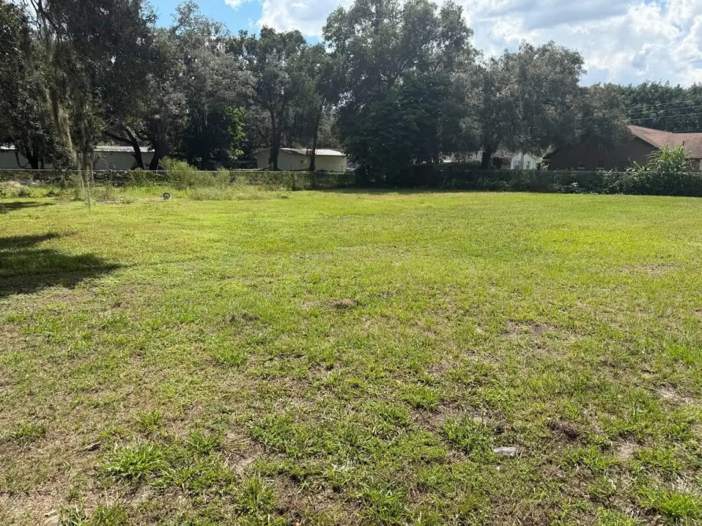 Picture 6
