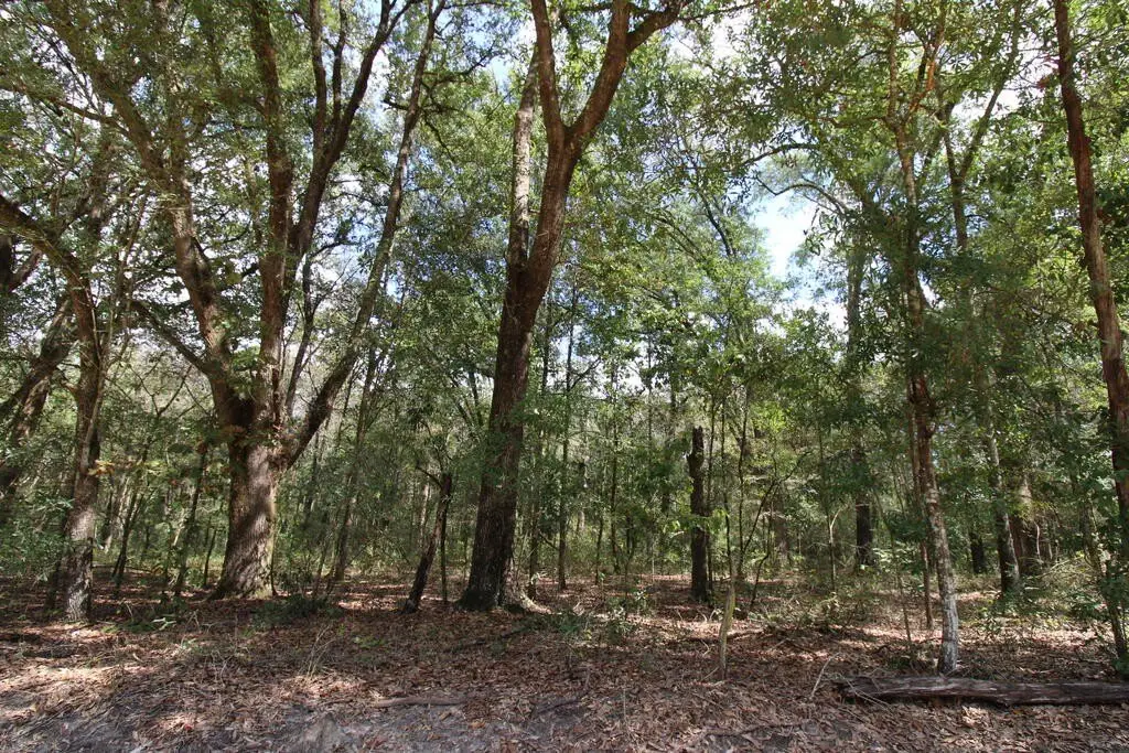 Picture 8
