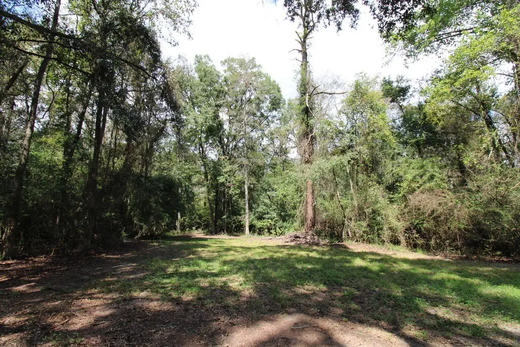 Picture 22