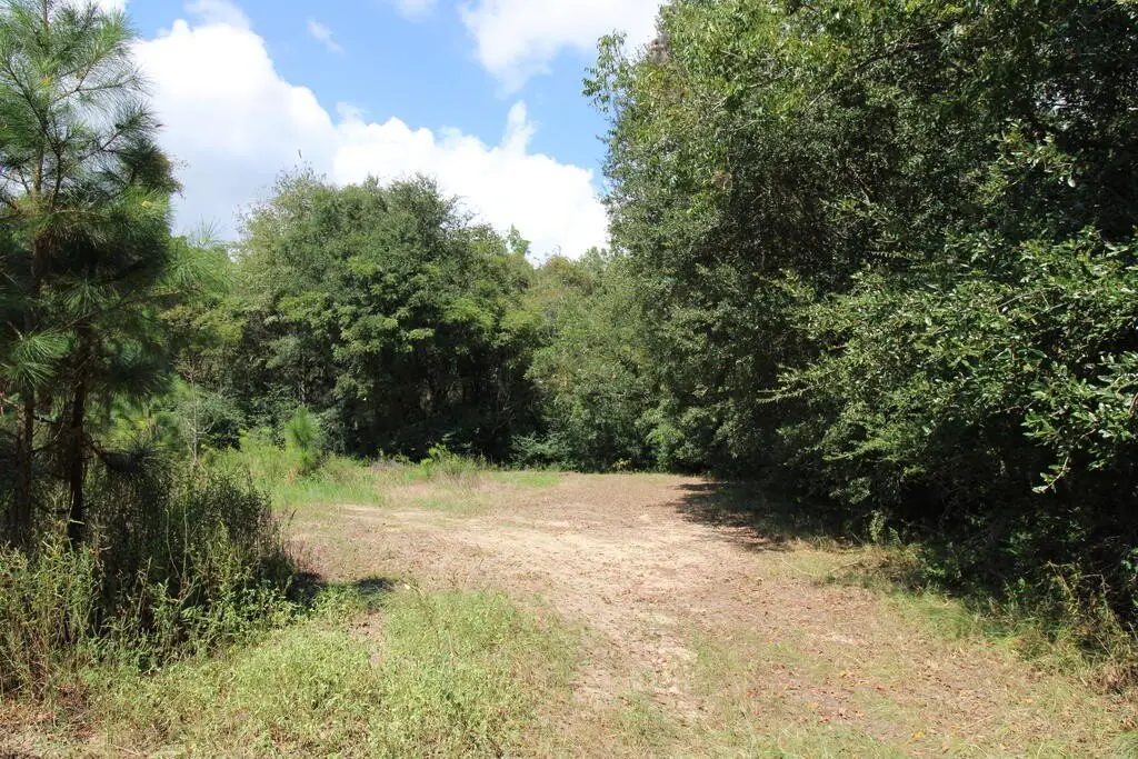 Picture 15