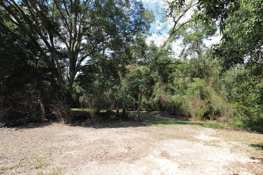 Picture 23