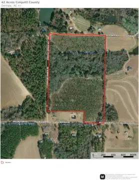 Pine and Hardwood Hunting Land