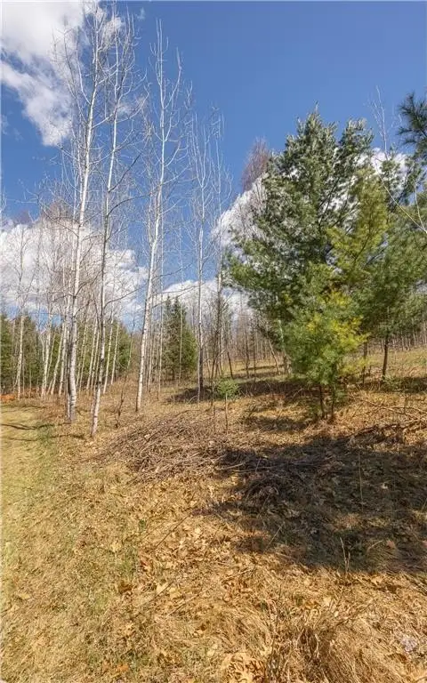 Picture 36
