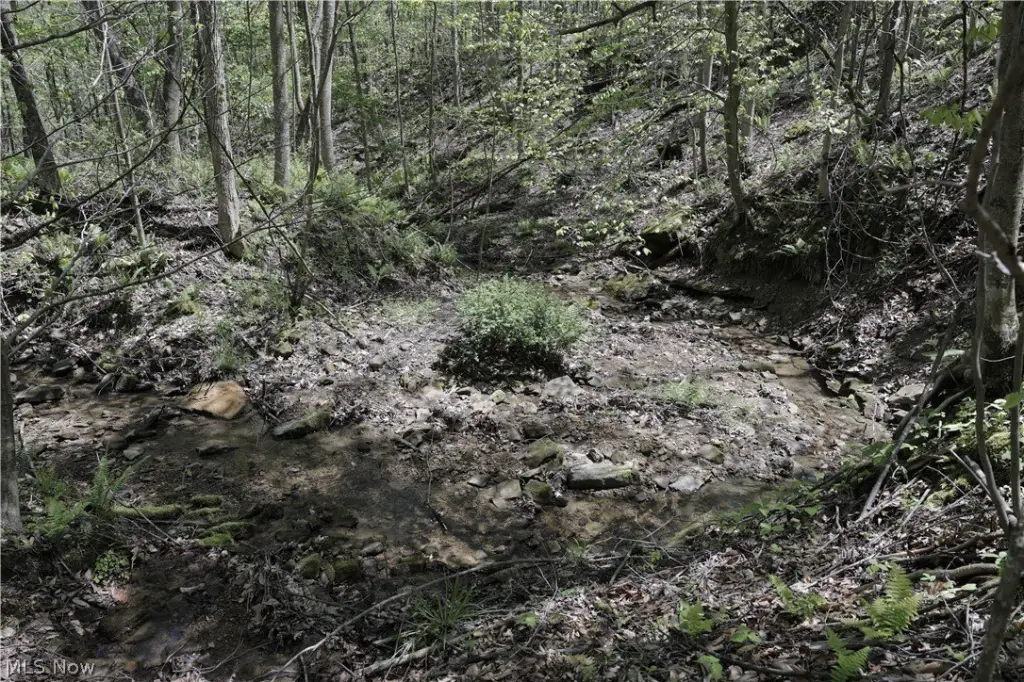 Picture 21