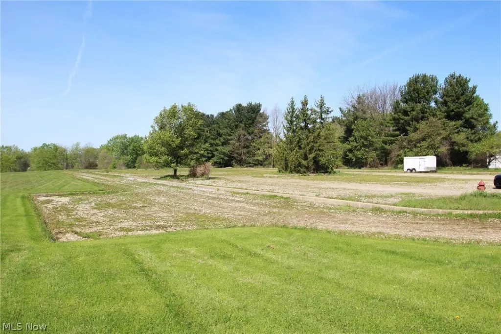 Picture 5