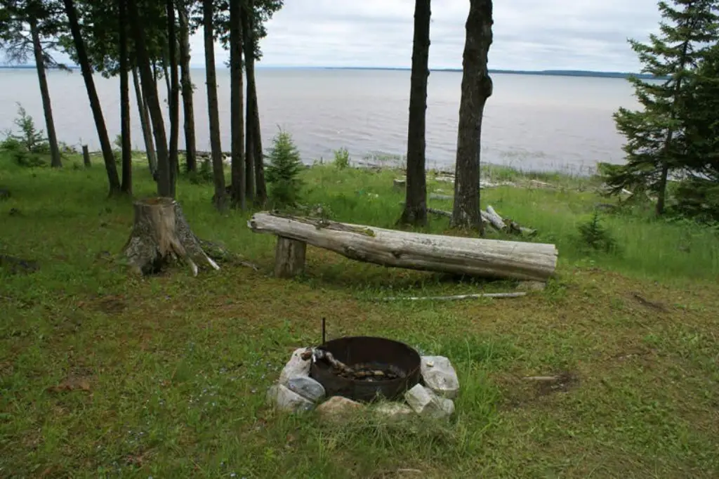 Picture 5