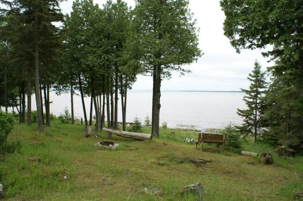 Picture 4