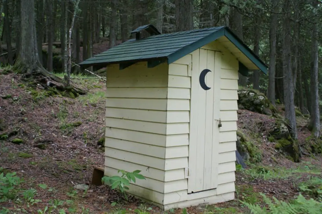 Picture 8