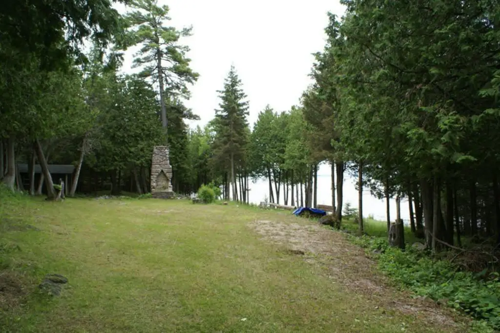 Picture 12