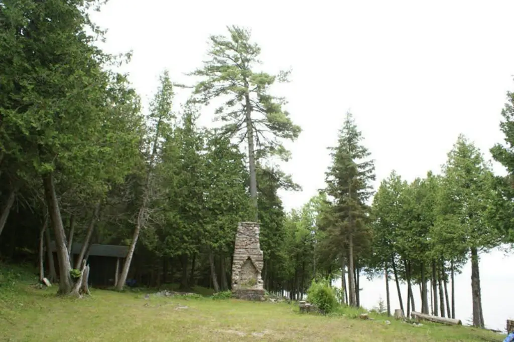 Picture 3