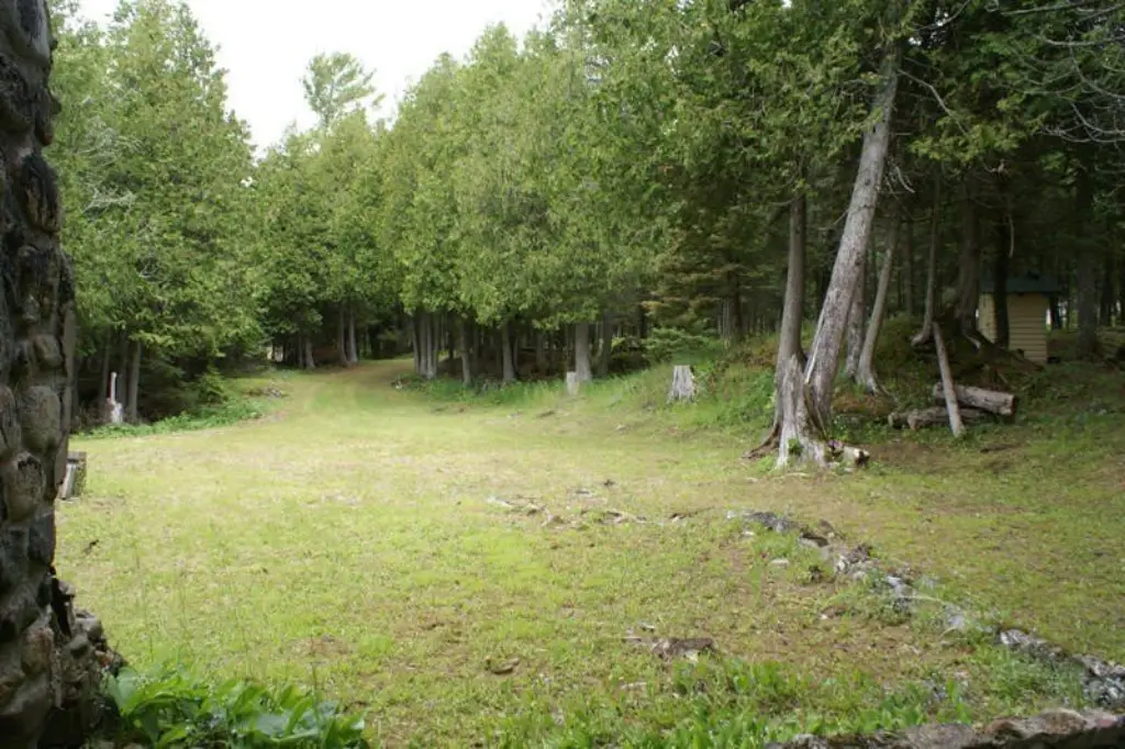 Picture 13